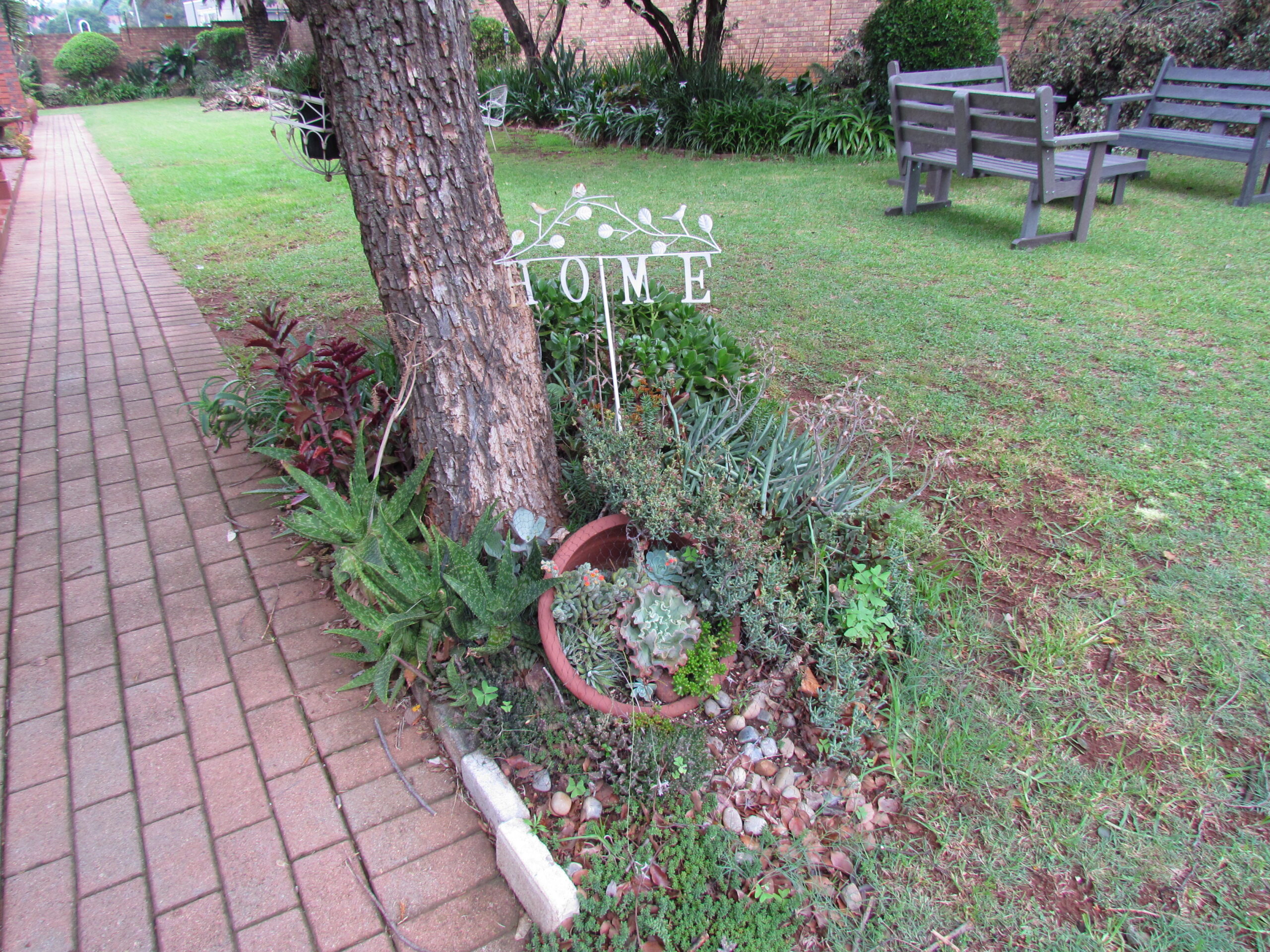 Golden Year Rotary - Garden